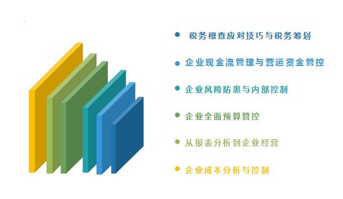 法律在跨国企业税务筹划中的关键角色