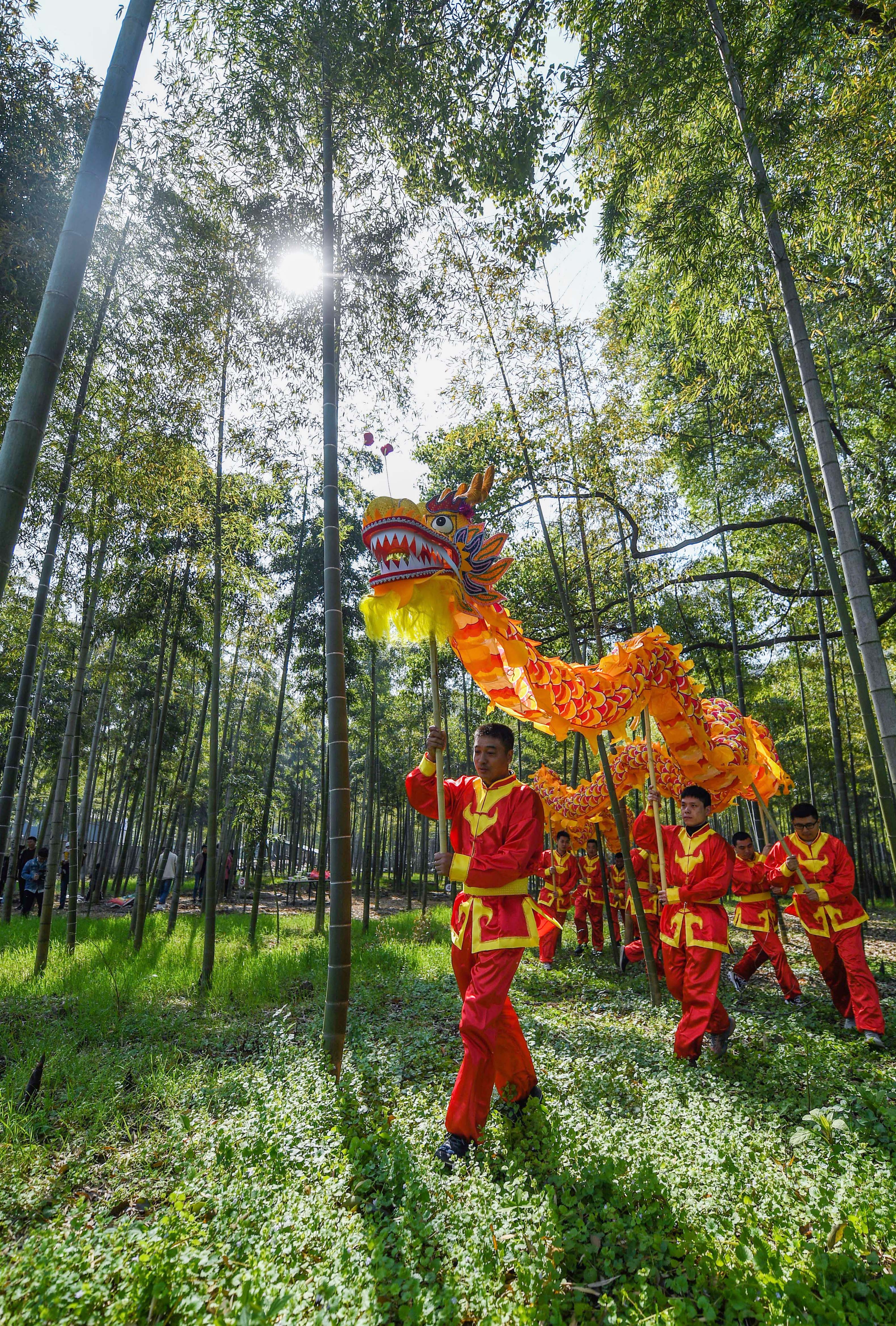 竹林深处的祭龙仪式，生态文化与信仰的交融思考