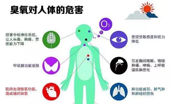 绿色食品避免化学物质伤害的有效策略