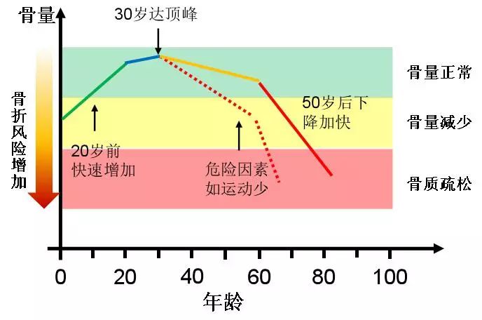 良好饮食结构对骨密度维护的重要性