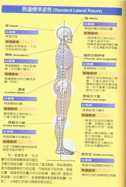 体态调整在日常生活中的功能优化作用