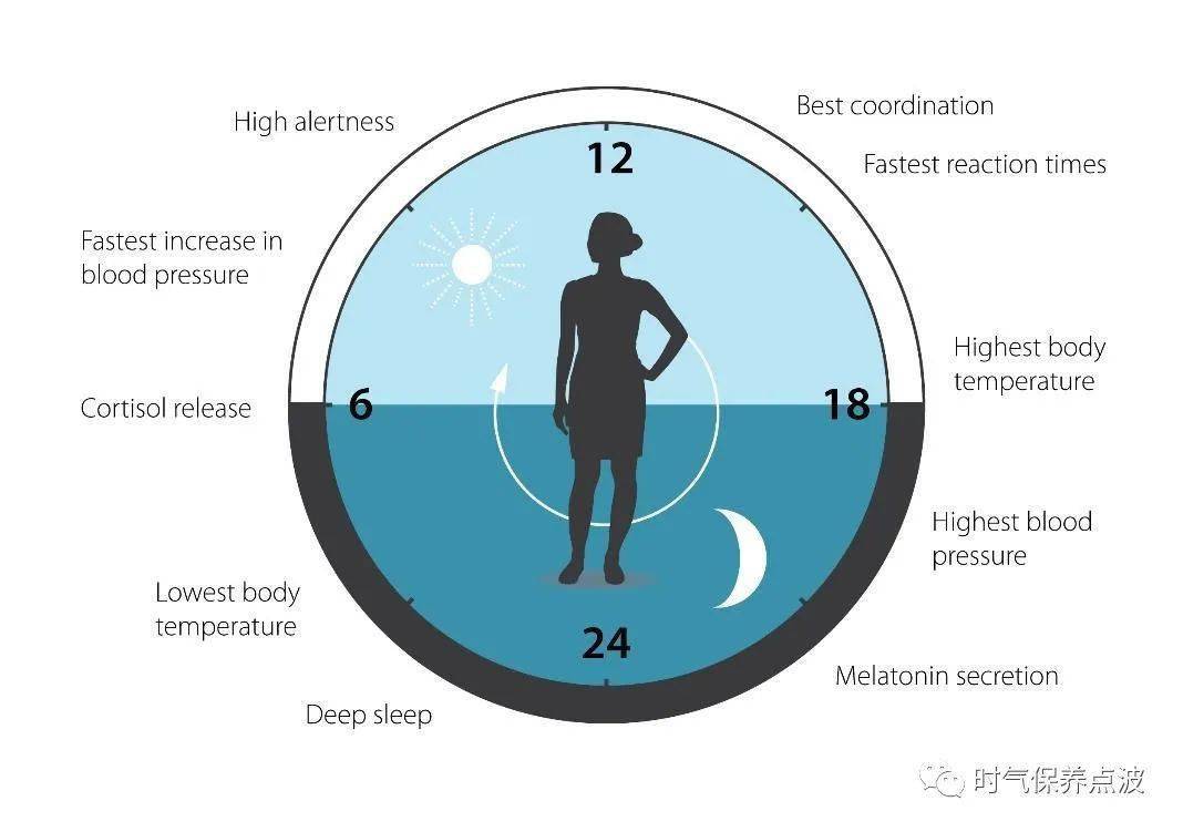 自然环境体验与内在节律恢复的科学联系