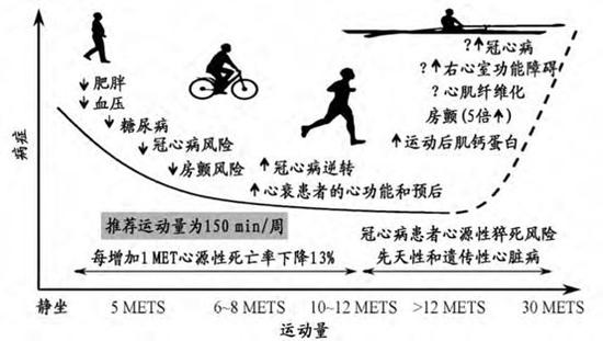 慢跑习惯对身体代谢与心理调节的益处研究