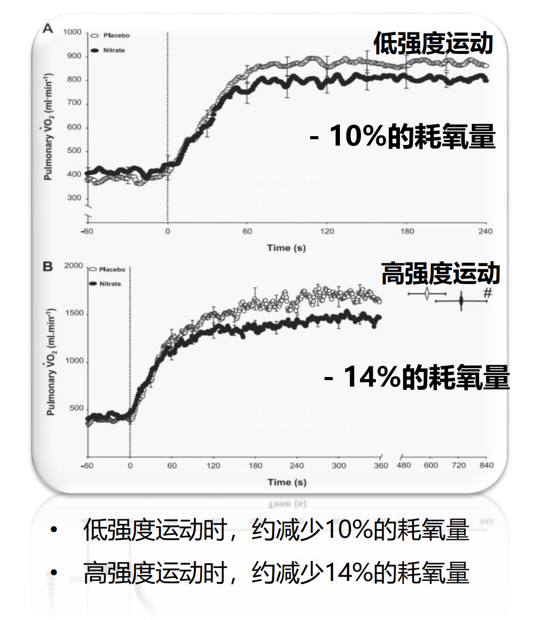 高原运动对机体供氧能力与耐力提升的研究实证