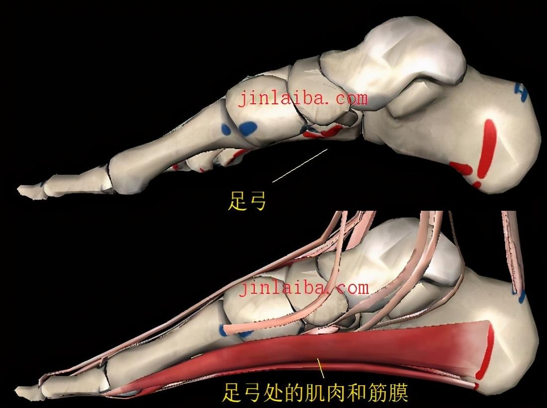 离心运动对身体各部协调性的优化效果研究