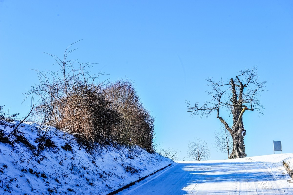 冬日踏雪无痕，心境与反思之旅