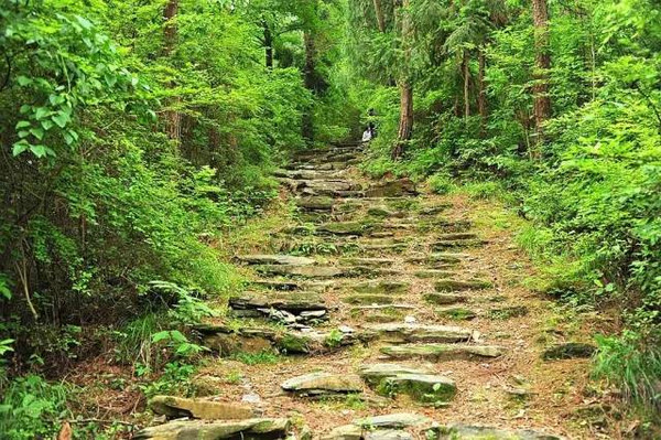 沧桑古道，心境与步伐的节奏之旅