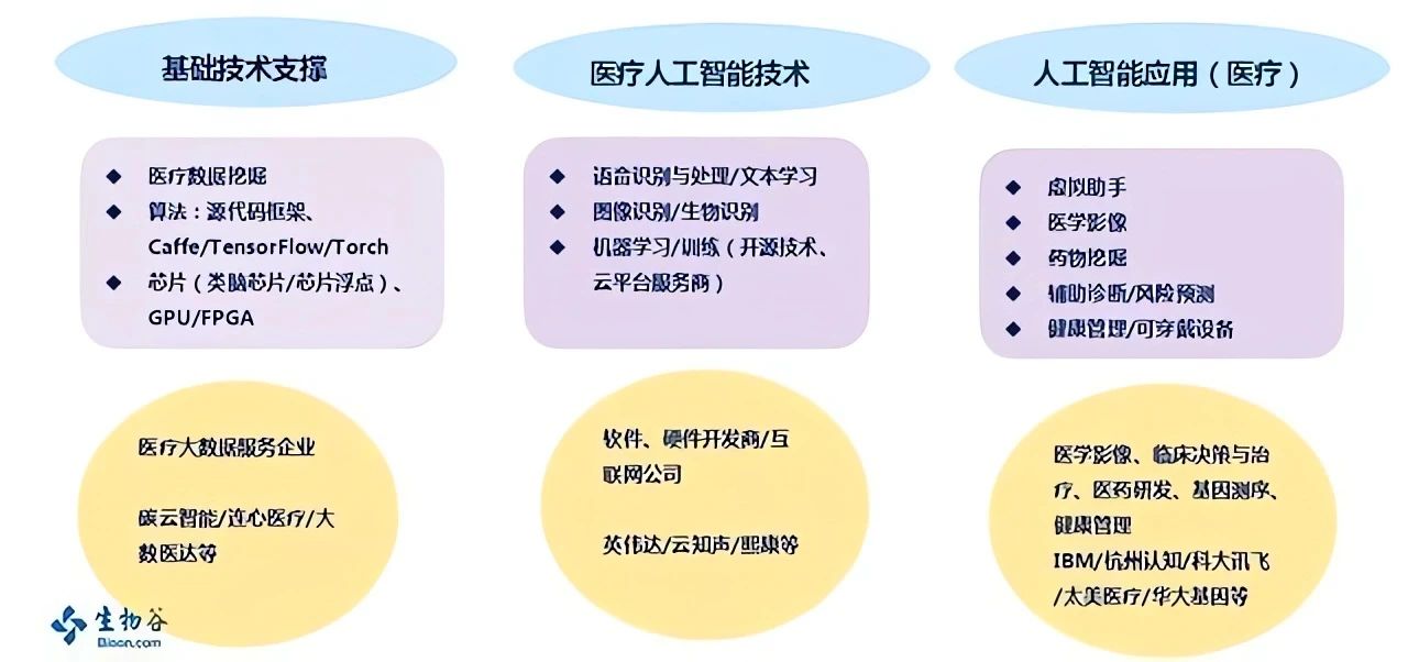 人工智能在医疗领域的精准诊断应用，重塑诊断体验的未来技术